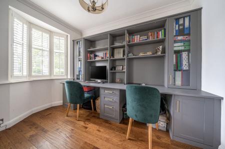 Study Area