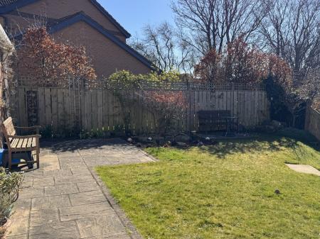 Photo 35