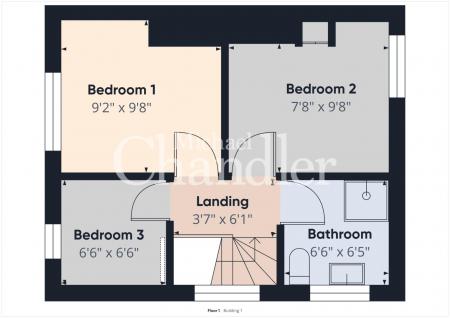 CAM02289G0-PR0361-BUILD01-FLOOR01.png