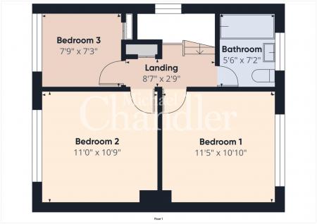 CAM02289G0-PR0288-BUILD01-FLOOR01.png