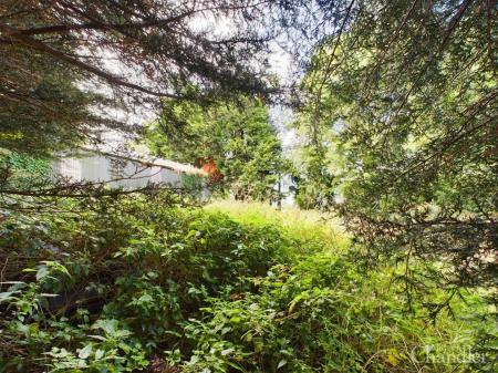 CAM01479G0-PR0346-STILL017.jpg