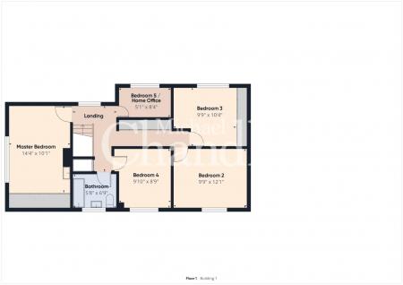 CAM01479G0-PR0465-BUILD01-FLOOR01.png