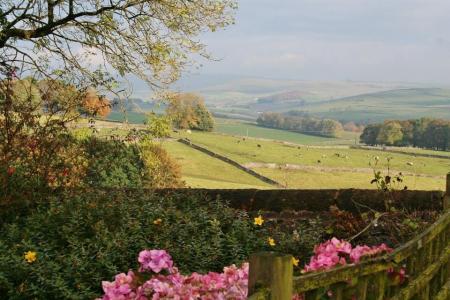 Vendor photo view 3.jpg