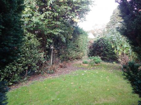 rear garden (2).JPG