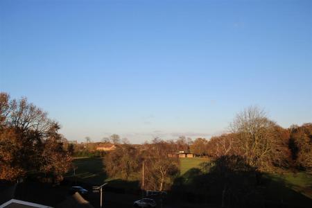 IMG_7316.jpg