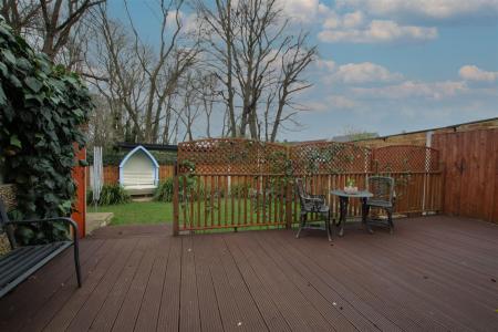 IMG_9576 copy.jpg