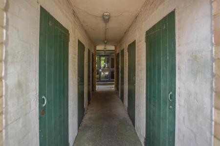 DSC_1043.jpg
