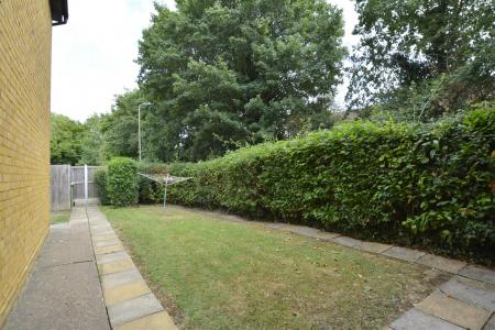 Garden.JPG