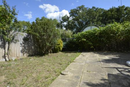 The Garden2.JPG