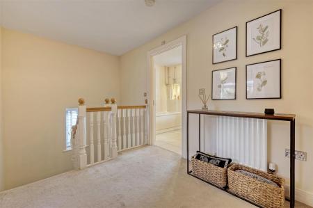 IMG_0635_8 copy 2.jpg