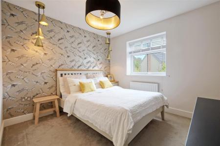 IMG_0594_2 copy 2.jpg