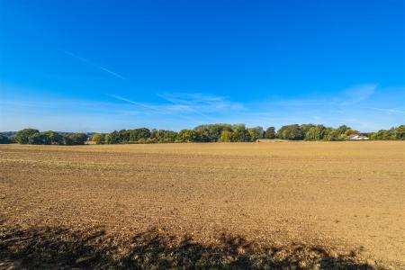 DSC_0304.jpg