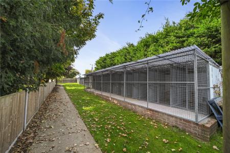 Kennels