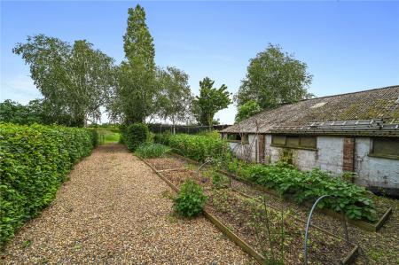 Kitchen Garden