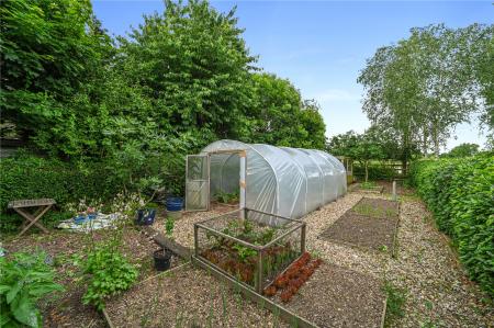 Kitchen Garden