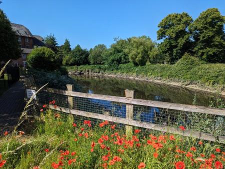 Nearby River Walk