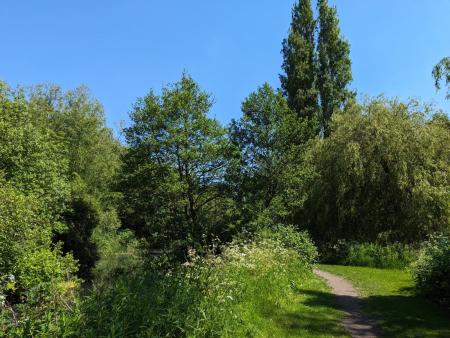 Nearby River Walk