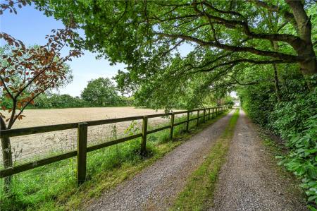 Driveway