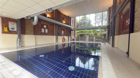 Communal Pool