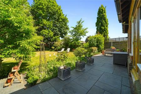 Patio and Garden