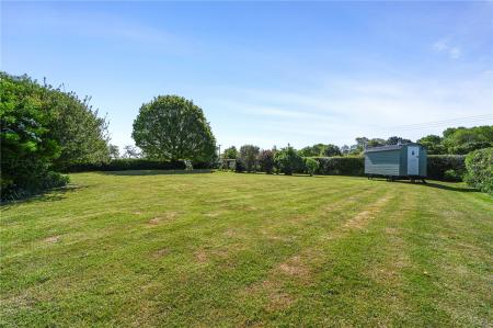 Grounds