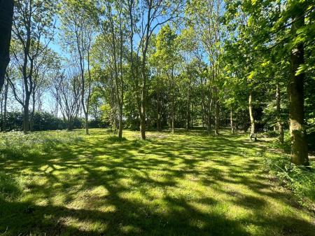 Copse