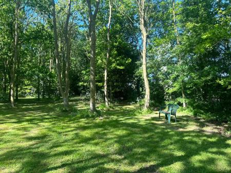 Copse