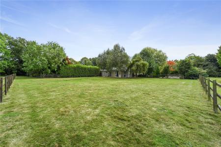 Grounds