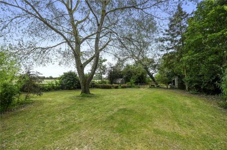 Grounds