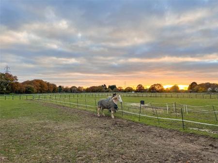Paddocks