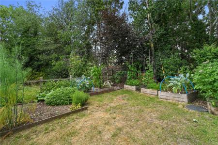 Kitchen Garden