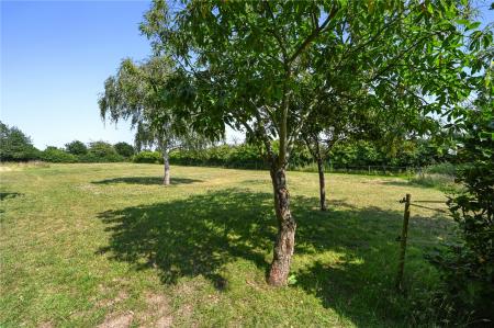 Grounds