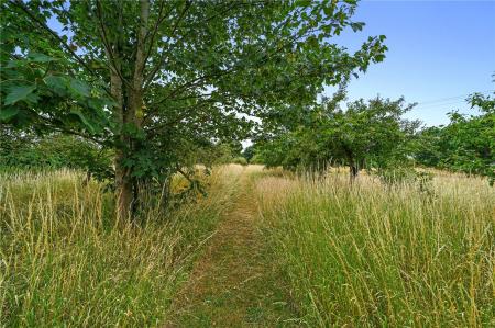 Grounds