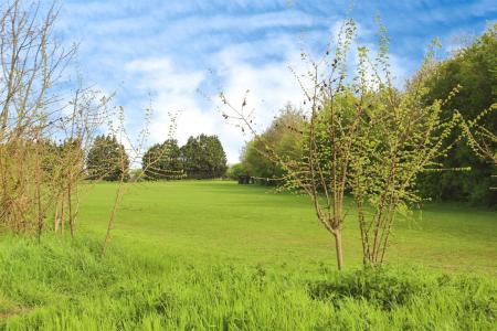 Front Green