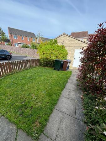 image1