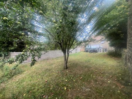 image11