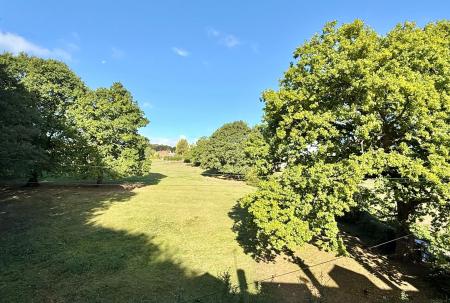 image31