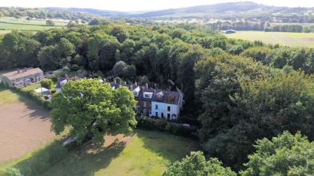 image25