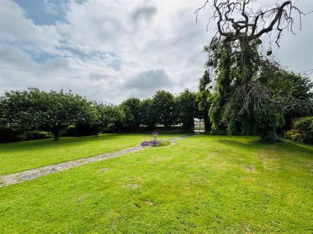 woodgdn8.jpg