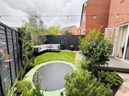 43hawgdn1.jpg