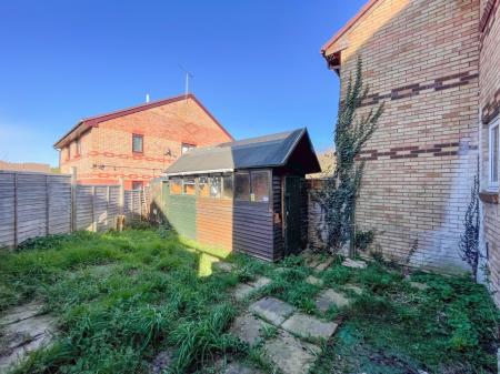 Media image 10