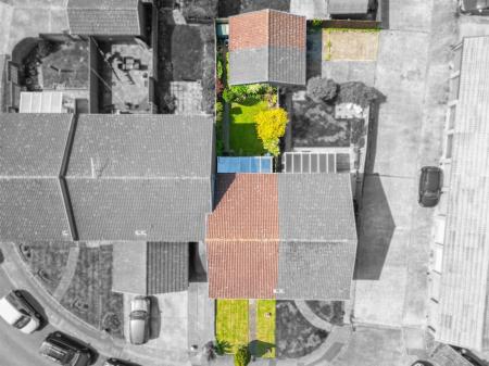 Media image 10