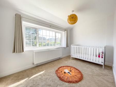 Media image 11
