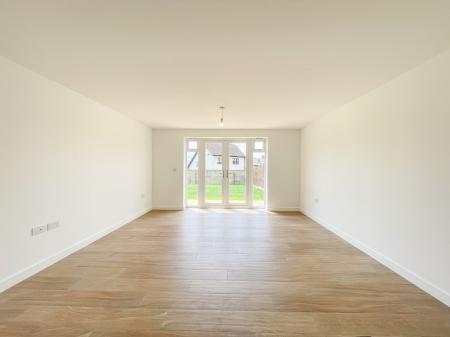 Media image 01