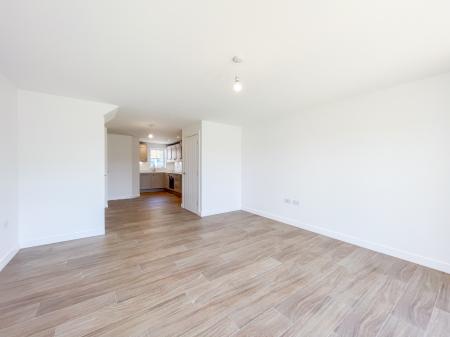 Media image 15