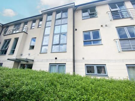 Media image 08
