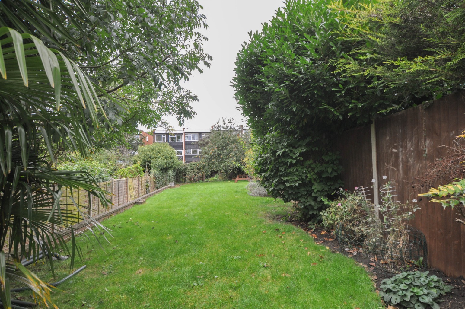 3 bedroom SemiDetached House for rent in Sawbridgeworth