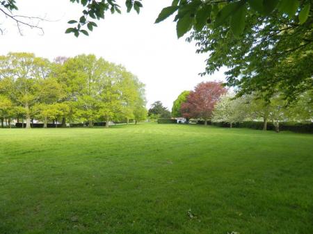 Sanderstead's common known as the Gruffy