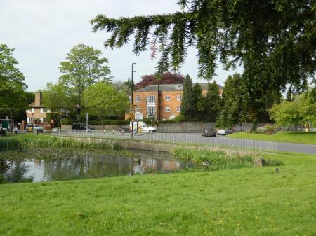 Sanderstead Pond