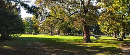 Haling Park Grove (10 min walk)